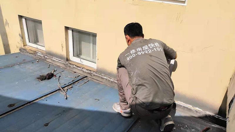 外墙防水卷材与涂料：如何选择更合适的产品**